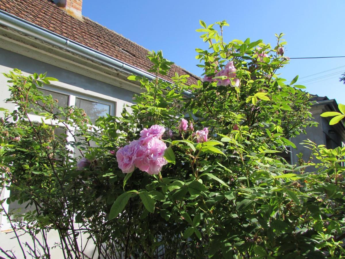 Bara Haz Holiday home Tvrdosovce